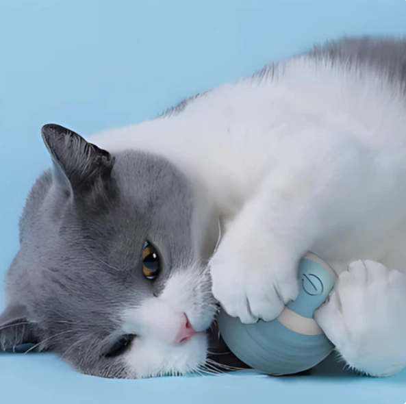 Engaging automatic rolling ball and feather tail cat toy, ideal for kittens and adult cats' interactive playtime.