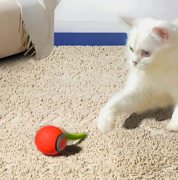 Pet supplies: Automatic rolling cat play ball with a feather tail, providing essential cat enrichment and exercise.