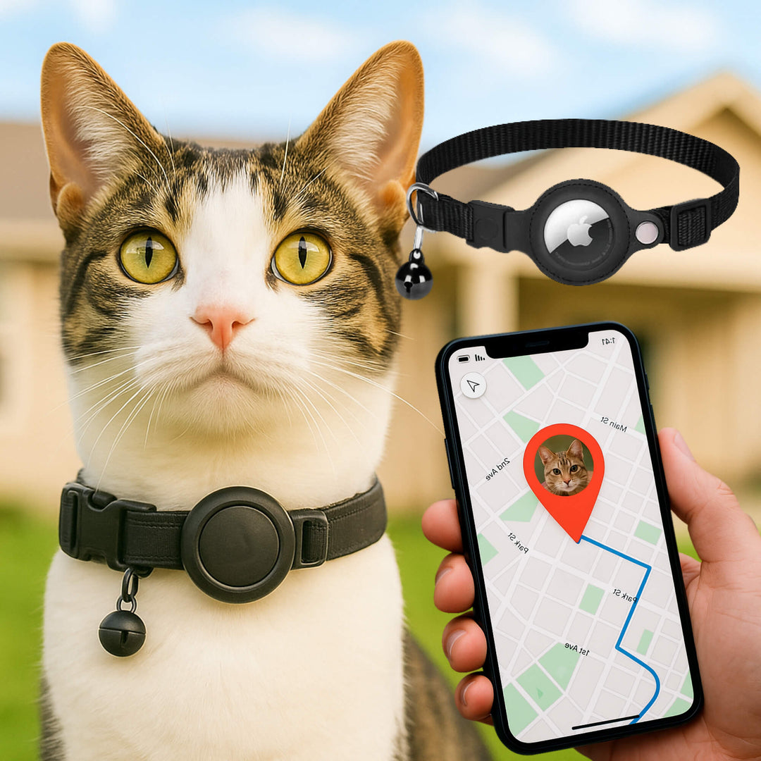 Robust GPS tracker cat collar, reflective & quick release, designed for the safety of adventurous outdoor felines.