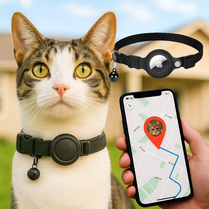 Robust GPS tracker cat collar, reflective & quick release, designed for the safety of adventurous outdoor felines.