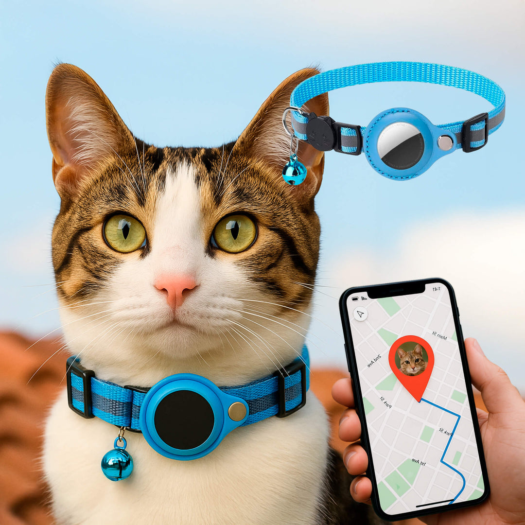 Modern reflective GPS tracker cat collar with quick release for secure, safe tracking of your beloved feline.