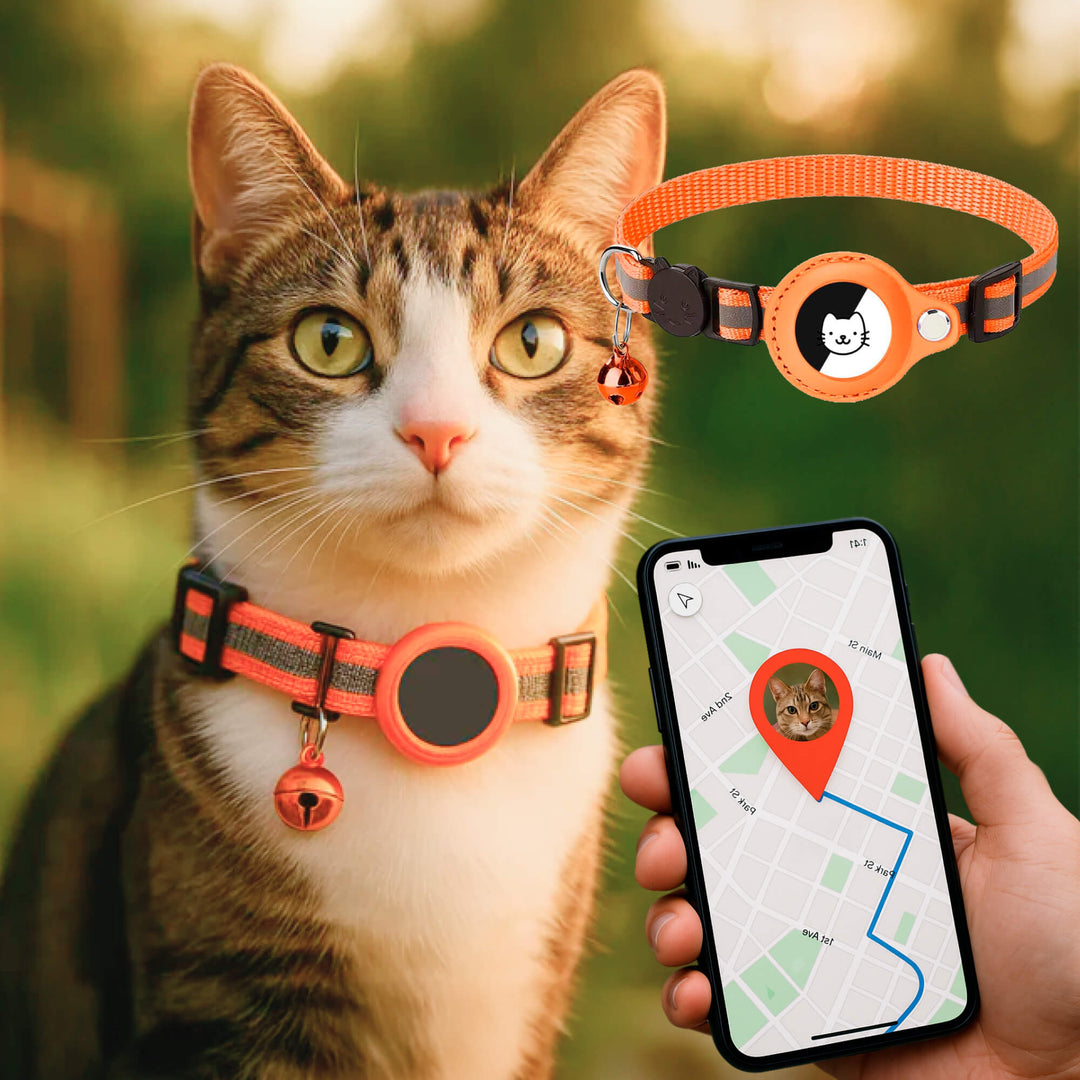 Enhanced pet safety with this reflective, quick release GPS tracker cat collar. Ideal for monitoring outdoor cats.
