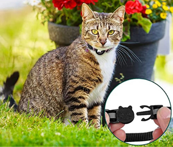 Essential feline safety accessory: GPS tracker cat collar, reflective, quick release. Keep your cat secure.