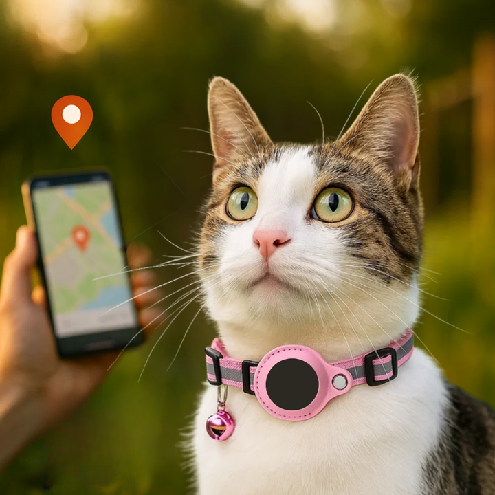 Adjustable cat GPS tracker collar, reflective for night visibility, with quick release buckle for feline safety.