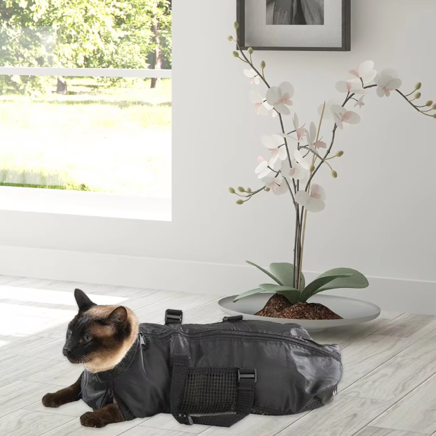 Black cat grooming bag for peaceful trims & stress-free care. Essential pet supplies for anxious cats.