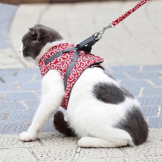 Blue and red breathable cat harness with adjustable straps for secure pet safety outdoors.