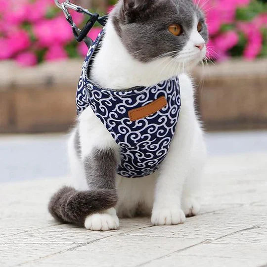 Close-up of the breathable fabric on a blue and red cat harness for enhanced comfort.