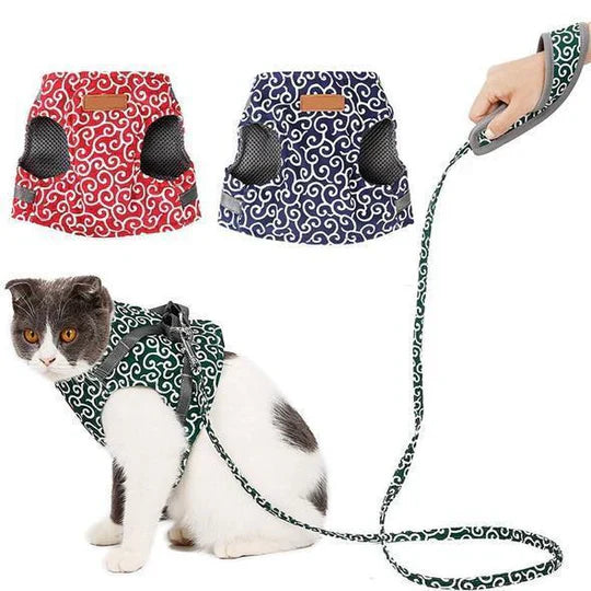 Feline walking gear: adjustable, breathable cat harness in eye-catching blue and red.