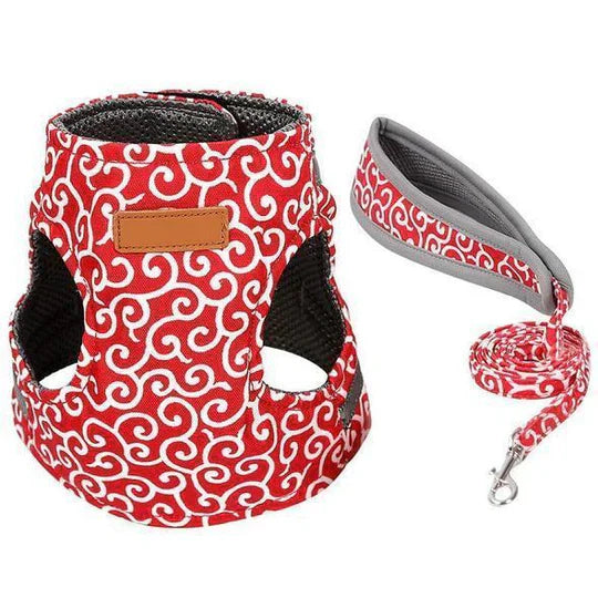 Secure cat leash and harness combo for outdoor exploration, ensuring pet safety.