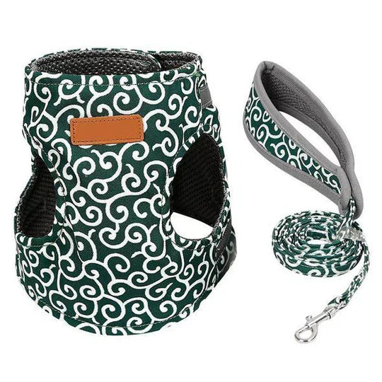 Breathable mesh cat harness designed for maximum comfort during walks and travel.