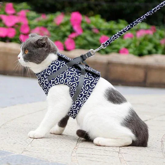 Travel-friendly breathable cat harness with a matching leash for safe excursions.