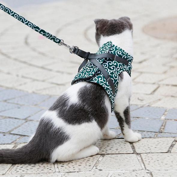 Lightweight and adjustable cat harness, ensuring a comfortable fit for your pet.