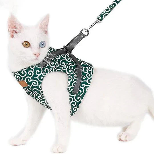 Durable pet safety harness for cats, featuring a secure leash for outdoor activities.