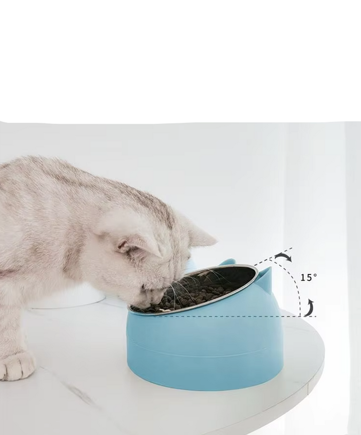 Blue elevated cat bowl with 15-degree incline for comfortable, healthy eating.