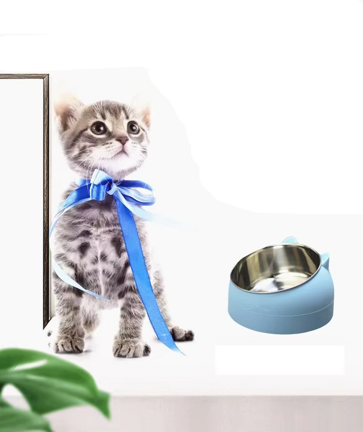 Ergonomic stainless steel pet feeder for cats, 15-degree tilt for better digestion.