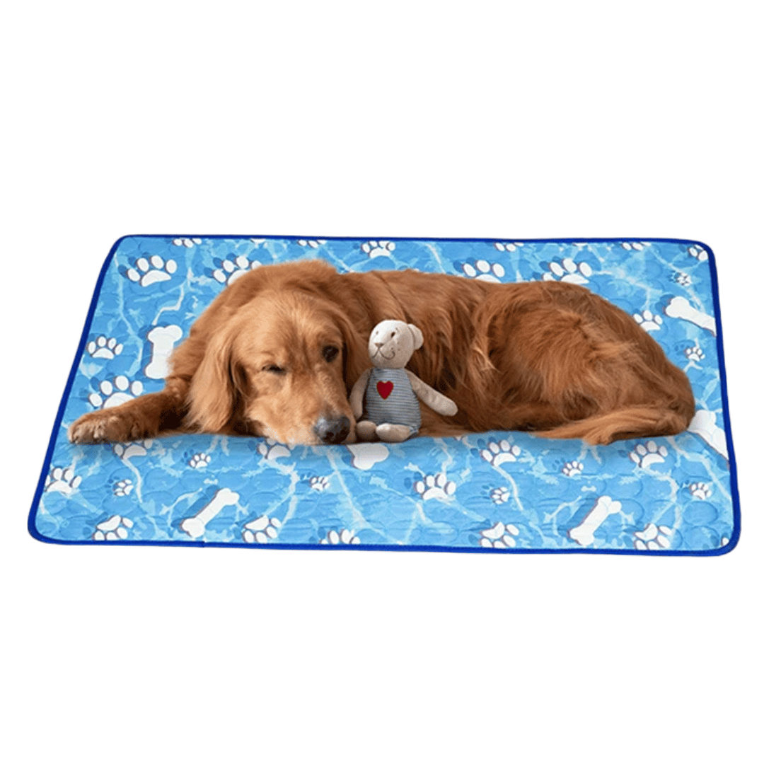 Blue pet cooling mat for dogs & cats, offering instant heat relief & self-cooling comfort for summer.