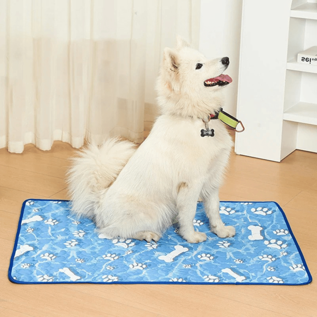 Pet cooling pad providing instant heat relief, perfect for dogs & cats during hot summer months.