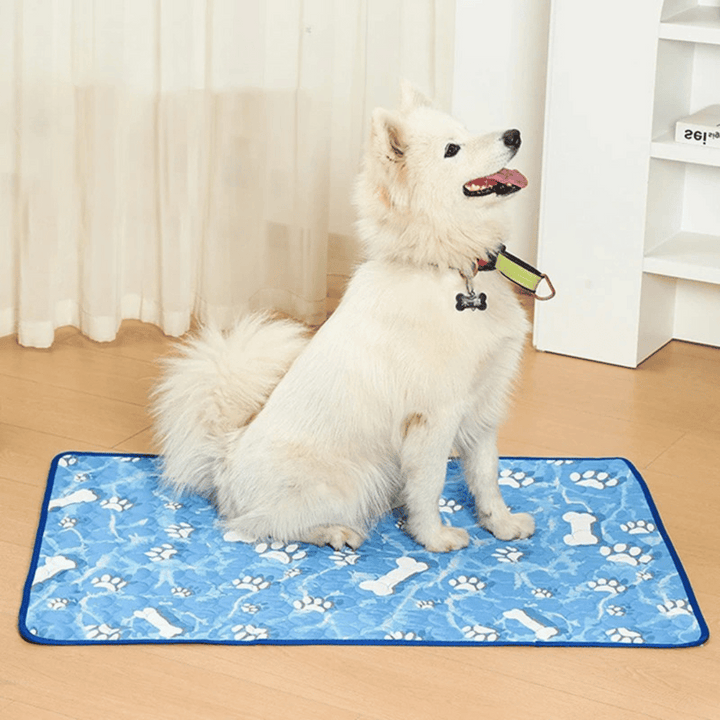 Pet cooling pad providing instant heat relief, perfect for dogs & cats during hot summer months.