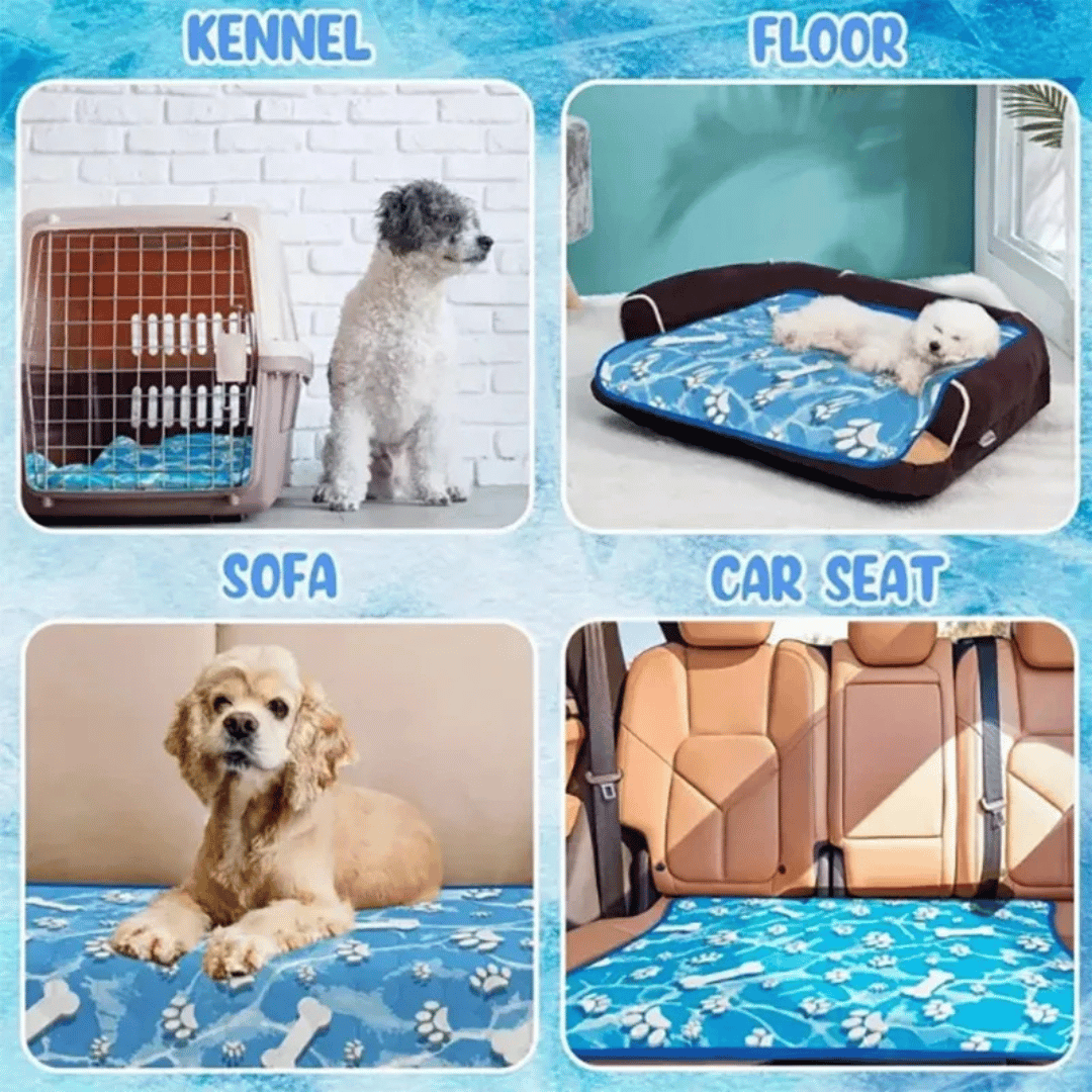 Keep pets cool with this self-cooling mat for dogs & cats. Instant heat relief & ultimate summer comfort.