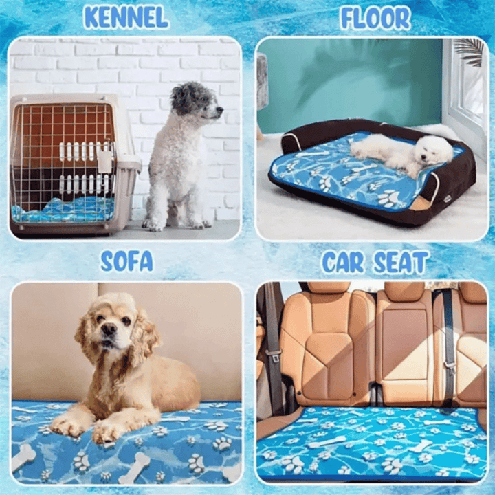 Keep pets cool with this self-cooling mat for dogs & cats. Instant heat relief & ultimate summer comfort.