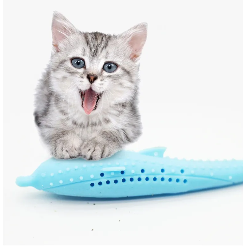 Engaging whale chew toy, ideal for cat dental health & small dog playtime. Essential pet supplies for oral care.