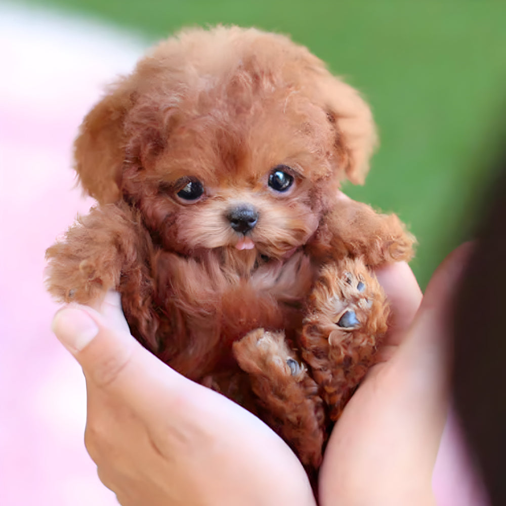 Brown and white interactive robot puppy toy for kids, walks and barks