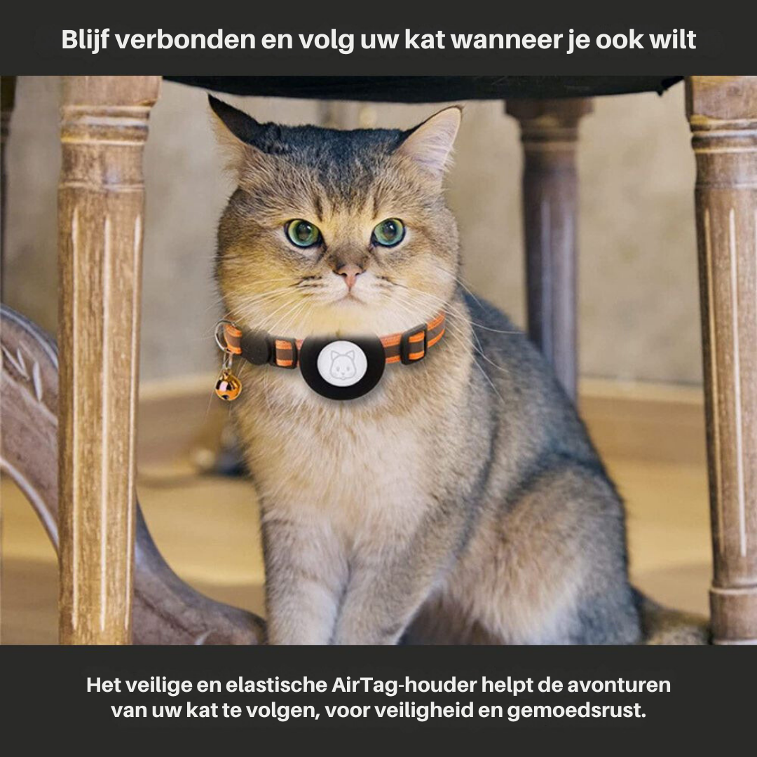 Adjustable nylon cat collar with GPS tracking & reflective strip for secure fit & nighttime feline visibility.