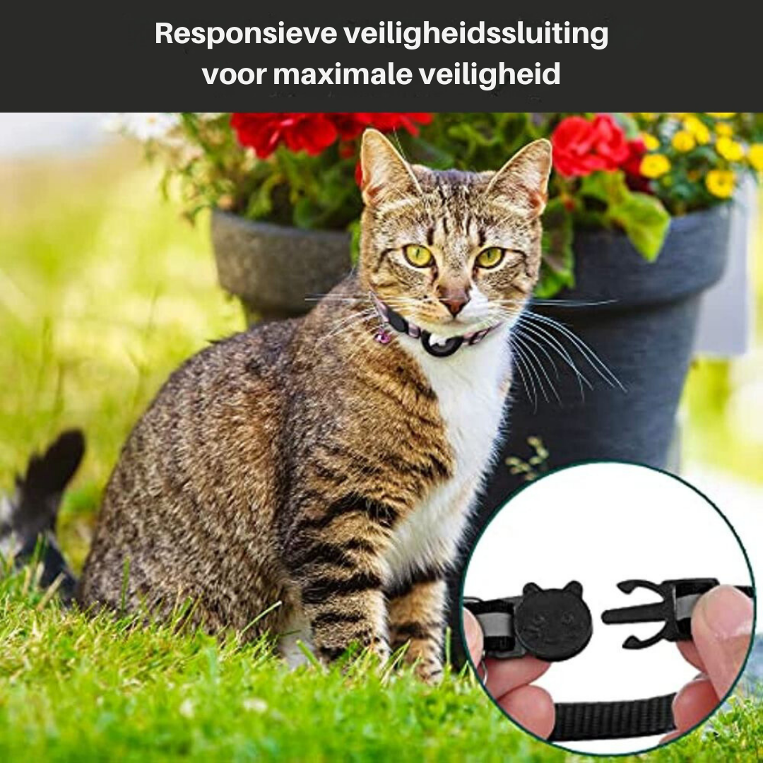 Stylish cat accessory: Reflective GPS tracker collar, quick release nylon for pet safety & easy cat monitoring.