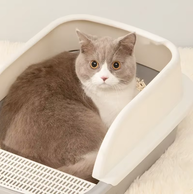 Cat litter tray with high rim to prevent mess. Durable & hygienic pet supply for cleaner homes.