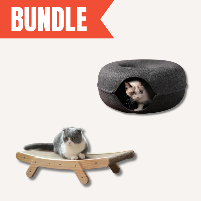 Cat Play & Lounge Set featuring an ergonomic scratcher and a cozy circular hideaway.