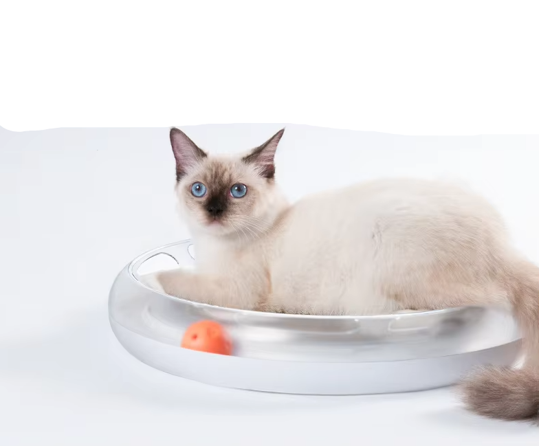 Interactive cat scratching board with rolling balls track for endless feline fun and pet enrichment.