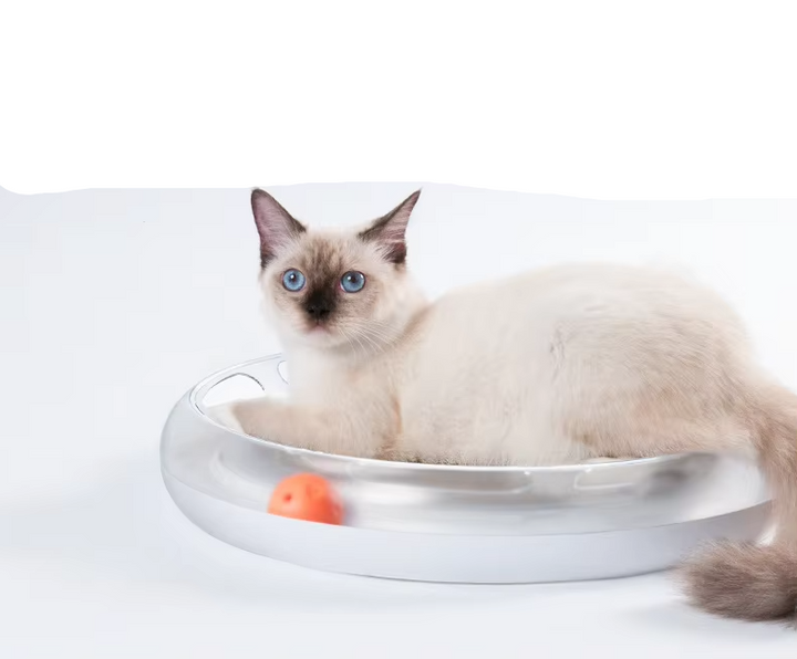 Interactive cat scratching board with rolling balls track for endless feline fun and pet enrichment.