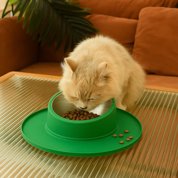 Hygienic stainless steel pet feeder for cats. Non-slip & leak-proof, ensuring mess-free food & water.