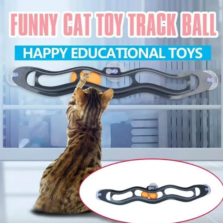Playful cat batting at the Cat's Window Ball Track, enjoying interactive feline entertainment.