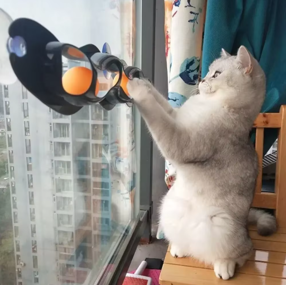 Interactive window cat toy: Cat's Window Ball Track with suction cups for stimulating pet play & feline fun.
