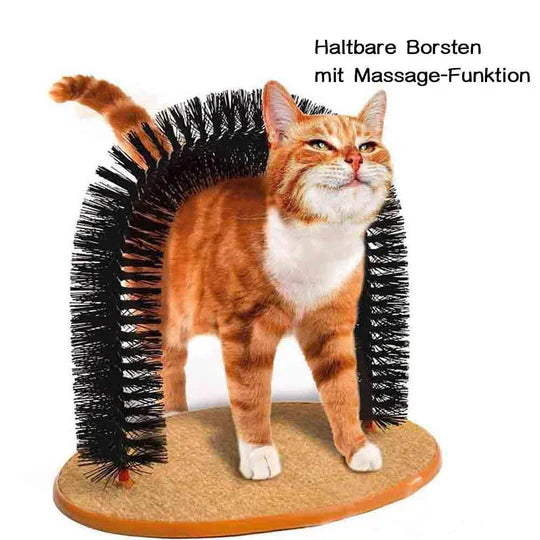 Cat Self-Grooming Arch with durable bristles for massage & hair removal. Promotes comfort & self-care for felines.