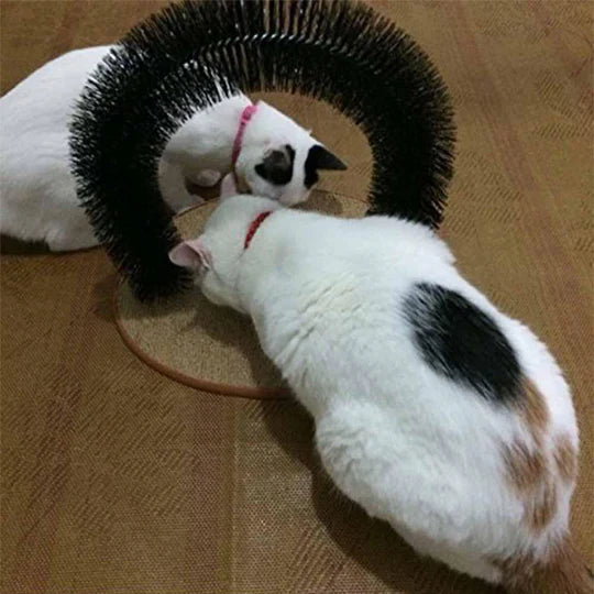 Interactive Cat Grooming Arch with built-in scratch post. Keeps claws healthy & provides soothing pet massage.