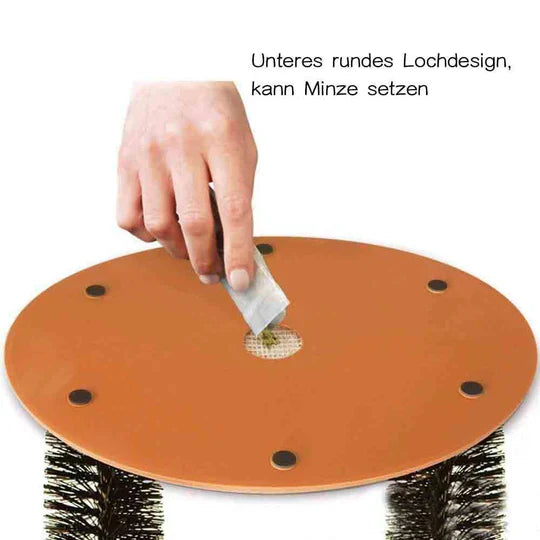 Sturdy Cat Grooming Arch with flexible bristles & sisal scratch pad. Provides effective hair removal & claw care.