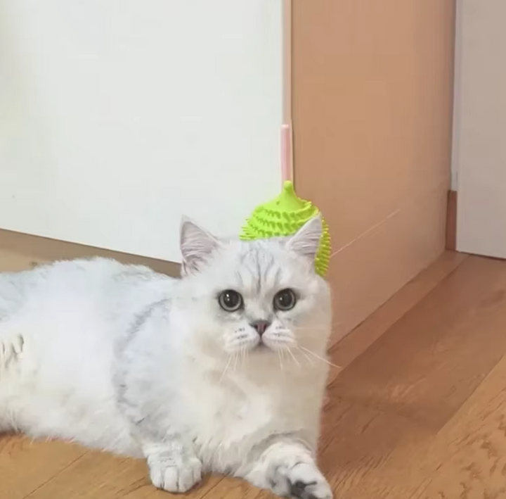 Catnip-filled UFO silicone cat toy for interactive play, stimulating active cats & kittens.