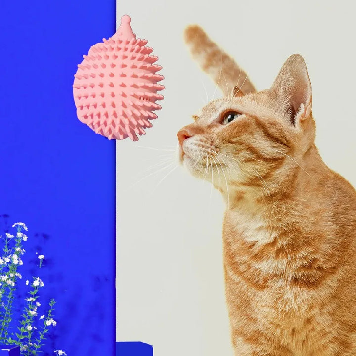 Interactive catnip UFO toy, stimulates hunting instincts for active cats & playful kittens.