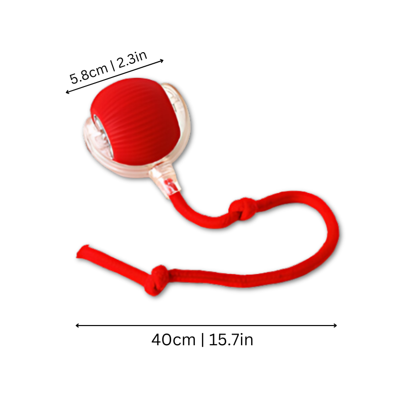 Rechargeable automated cat toy designed for endless indoor cat fun and pet enrichment.