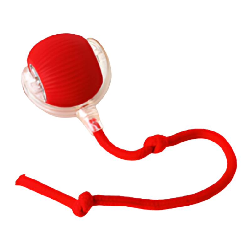 Engaging pet toy for dogs, designed for indoor exercise and fun.