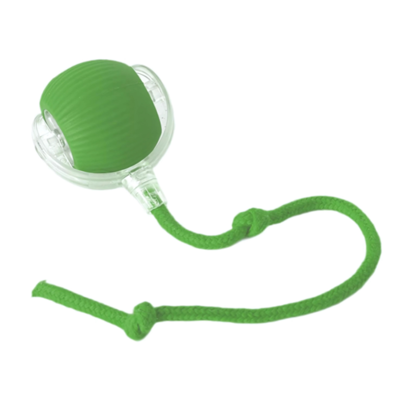 ChaseMate interactive toy keeps dogs entertained during indoor play sessions.