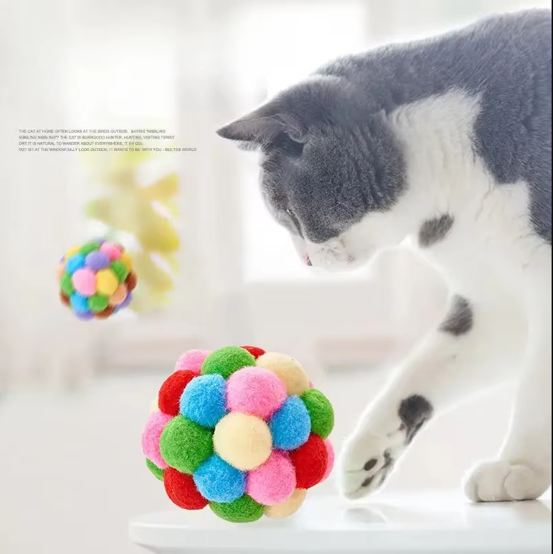Colorful pompom cat ball, a soft interactive pet toy for engaging feline play & kitten enrichment.
