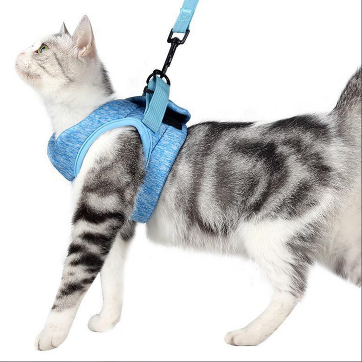 Comfort-Fit cat harness and leash set for safe outdoor adventures. Adjustable, escape-proof design for walks.