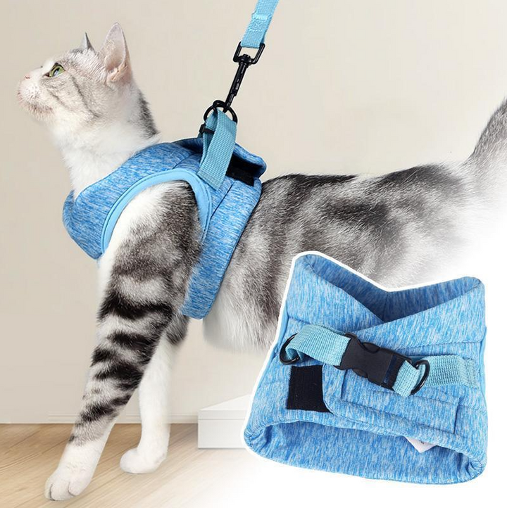 Cat harness and leash for small pets. Adjustable, comfortable, and escape-proof for safe outdoor walks.