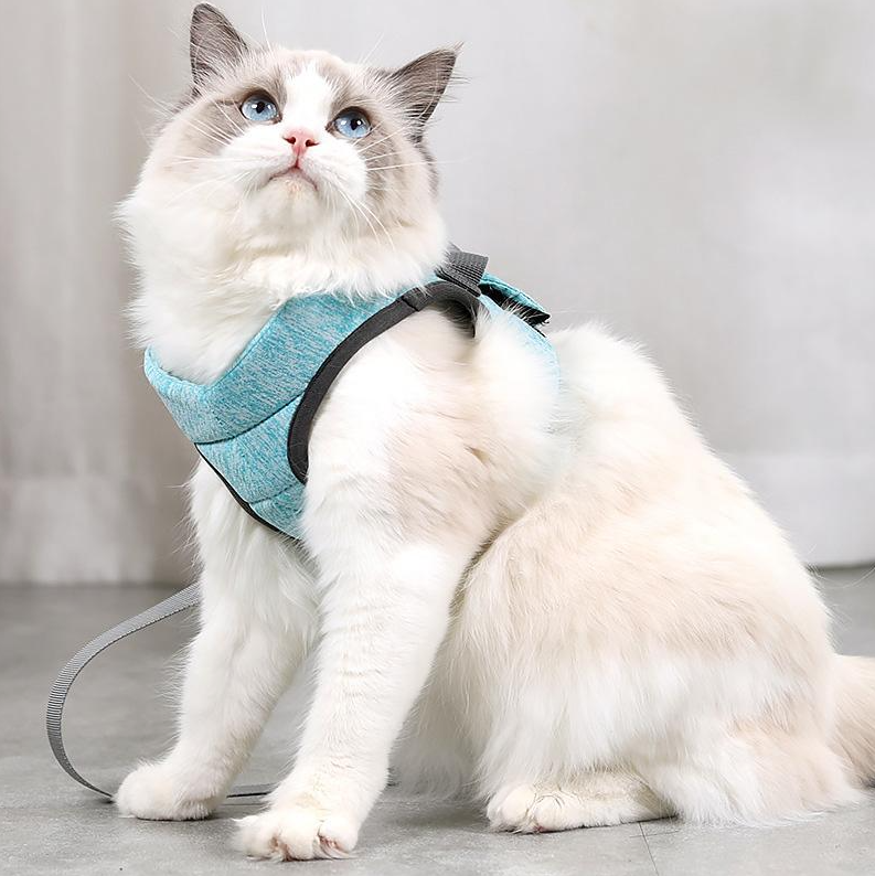 Comfort-Fit cat harness and leash designed for enjoyable and safe cat walks. Pet supplies for outdoor pets.