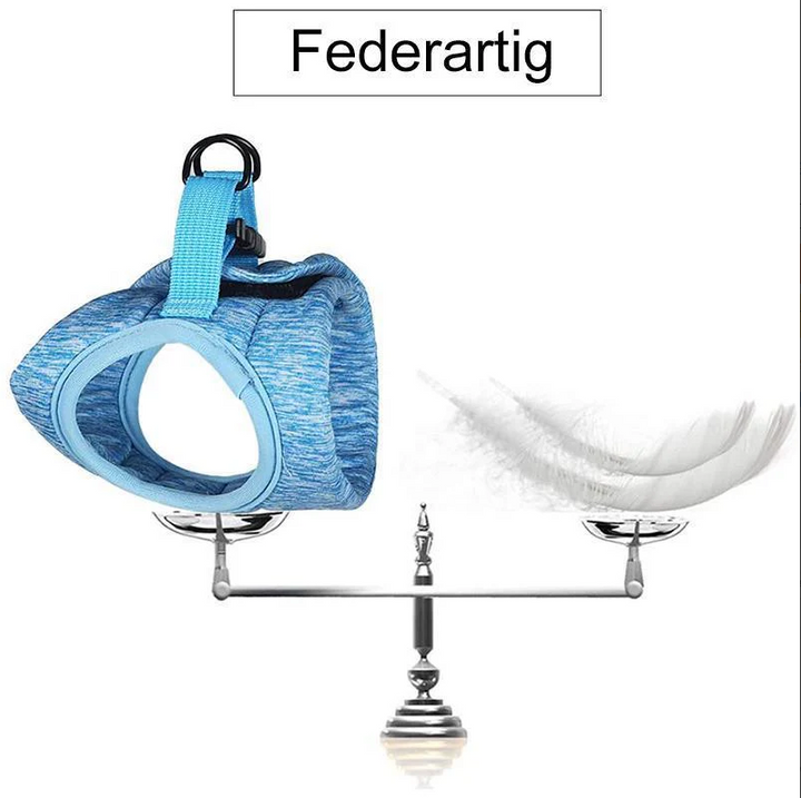 Adjustable, escape-proof cat harness and leash. Secure pet supplies for comfortable outdoor cat adventures and walks.