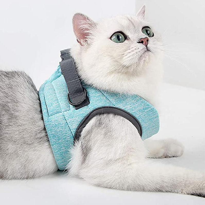 Soft, comfortable cat harness with leash for small pets. Ideal for safe outdoor walks and pet adventures.