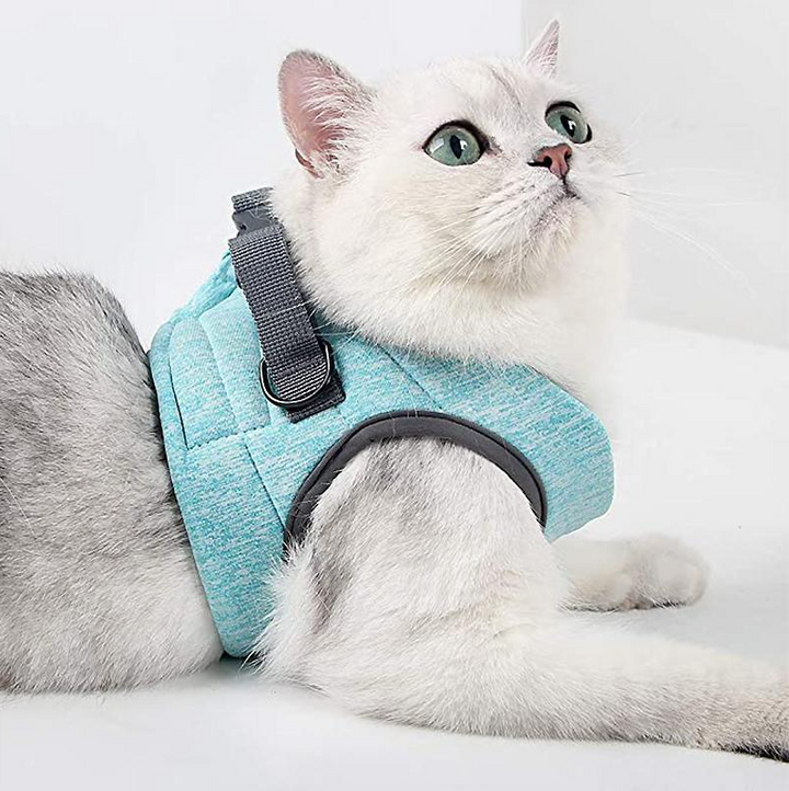 Soft, comfortable cat harness with leash for small pets. Ideal for safe outdoor walks and pet adventures.
